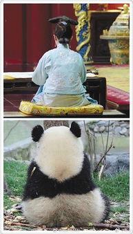 娱乐圈吃瓜群众的句子,揭秘明星幕后故事