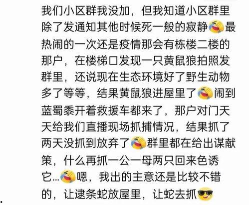 娱乐吃瓜群名叫什么名字,揭秘“娱乐吃瓜群”背后的热点事件与趣味瞬间